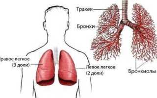 Кровь из горла при отхаркивании без кашля