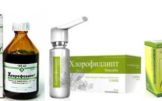 Спиртовой и масляный раствор, спрей для горла Хлорофиллипт: инструкция по применению