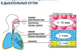 Ингаляции при аденоидах у детей небулайзером – растворы