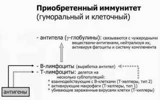 Температура 37 при простуде: что пить если держится насморк