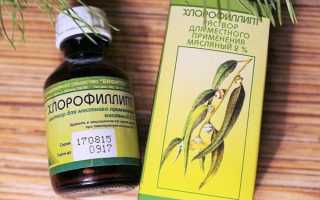 Метод применения хлорофиллипта для ингаляций в небулайзере