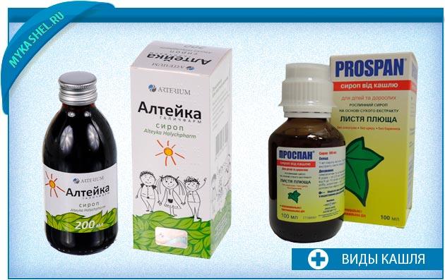 алтейка при мокроте