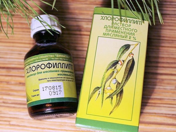 хлорофиллипт