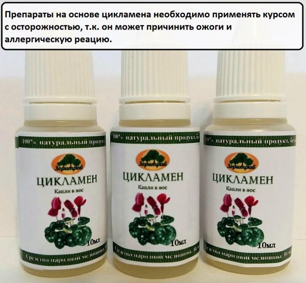 Каланхоэ сок при гайморите