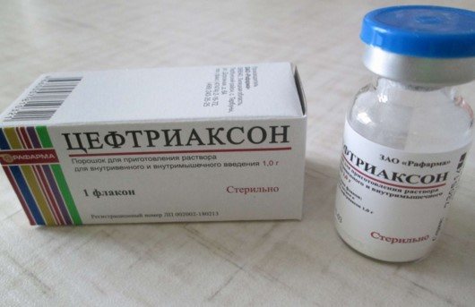 Особенности бронхиальной пневмонии у детей