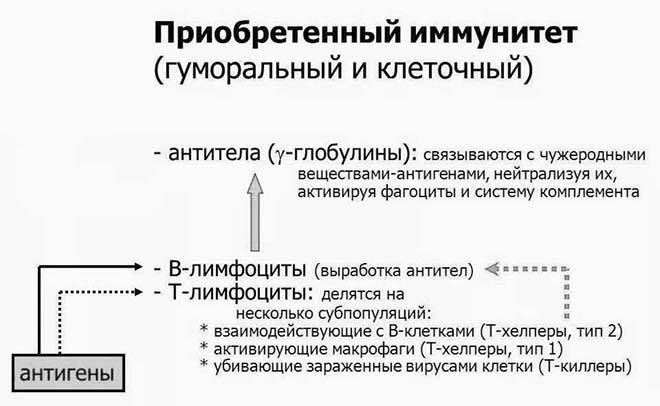 Пониженная температура при простуде