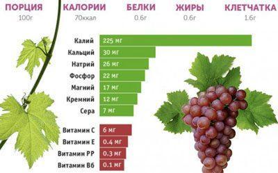 Состав винограда