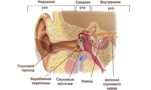 Ушная боль при отите