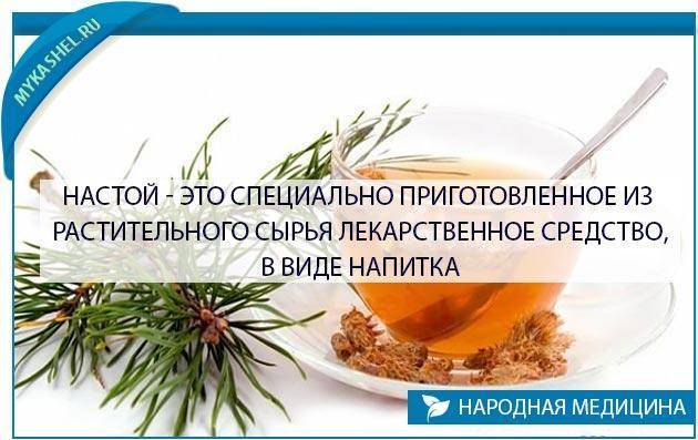 Веточки сосны от кашля