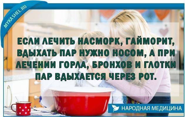 Веточки сосны от кашля