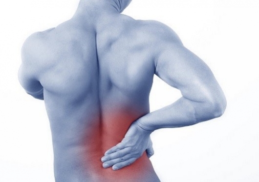 Вот почему болит спина и шея в машине Вот почему болит спина и шея в машине