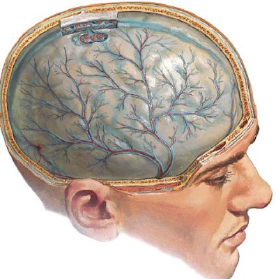 От чего может болеть спина и быть температура