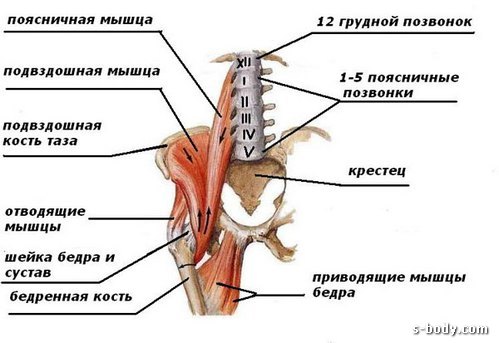 Почему при приседании болит спина
